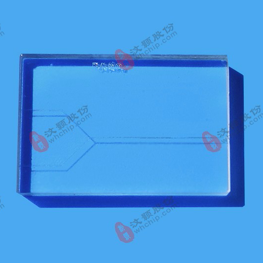 汶顥微流控芯片技術公司生產(chǎn)的芯片