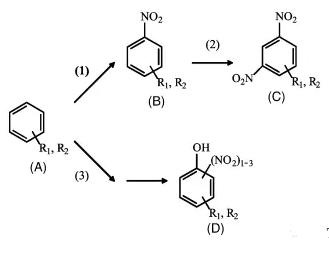 圖3&nbsp;主反應(yīng)和副反應(yīng)步驟