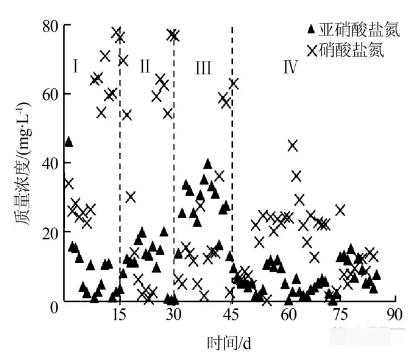 反應器中進出水各形態氮的變化