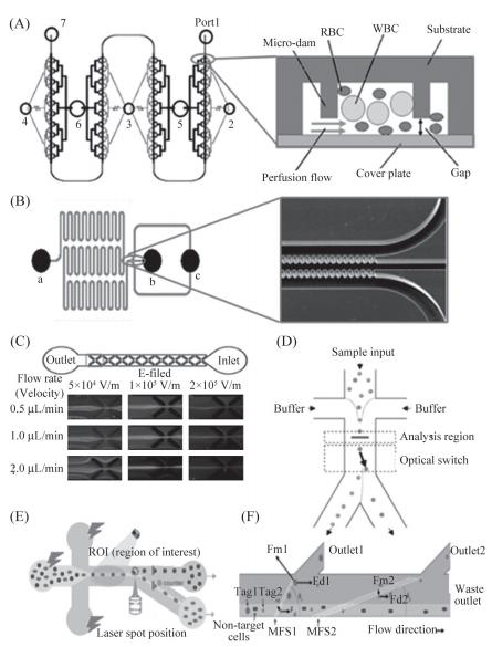 分選血細胞的PMMA微流控芯片