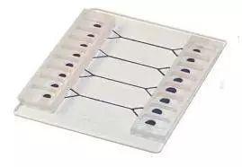 細胞培養微流控芯片