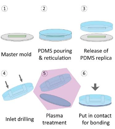 PDMS微流控芯片 PDMS微流控芯片