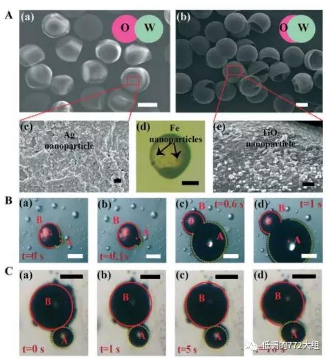 圖2. 兩種結構的Janus顆粒