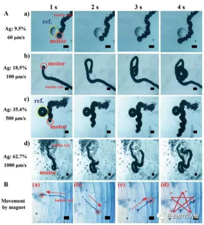 圖3. 不同Ag顆粒表面濃度的自驅動微馬達驅動速度和在磁場作用下的五角星運動軌跡