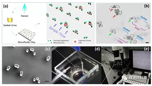 微流控技術(shù)在膀胱癌無創(chuàng)檢測領(lǐng)域取得重要進(jìn)展