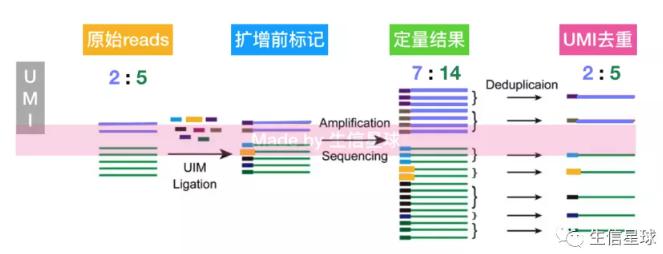 PCR PCR