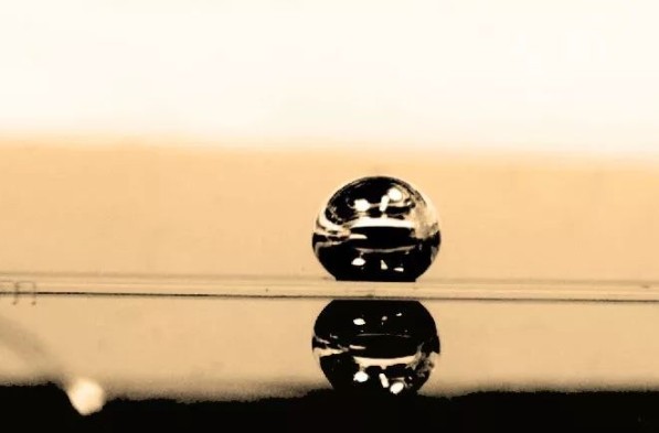 簡化血細胞研究的微型離心機式微流控裝置，解鎖器官芯片新可能