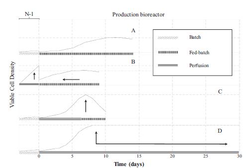 N-1和生產（N-階段）生物反應器不同操作策略的示意圖
