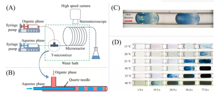 圖1 連續(xù)流制備聚苯胺反應(yīng)裝置