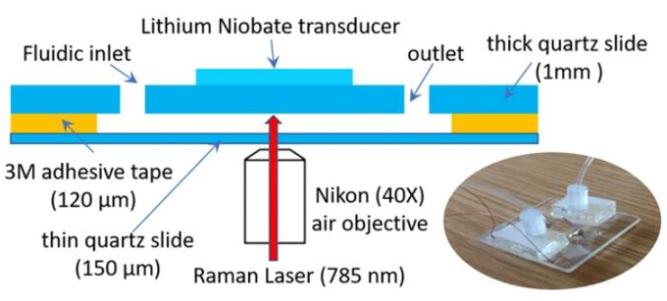 聲波捕獲腔室的設計