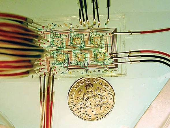 微流控芯片。圖片來源：Nature 