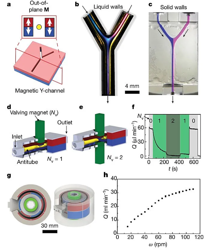 通過控制磁場實現微流體控制。圖片來源：Nature