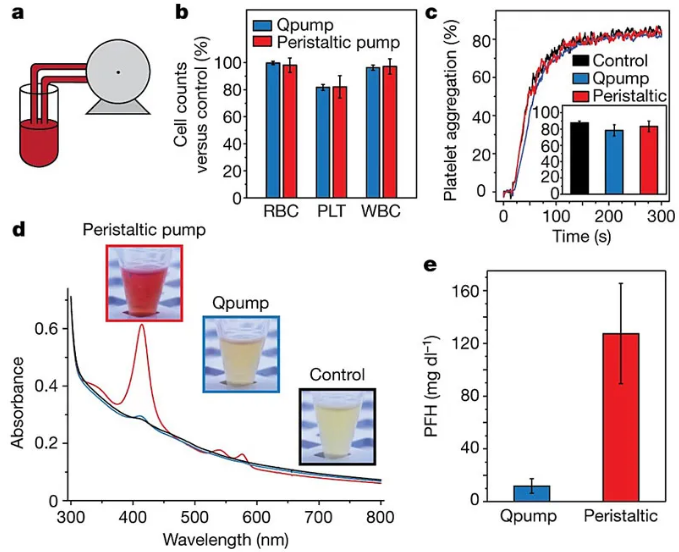 利用“磁蠕動泵”輸送血液。圖片來源：Nature