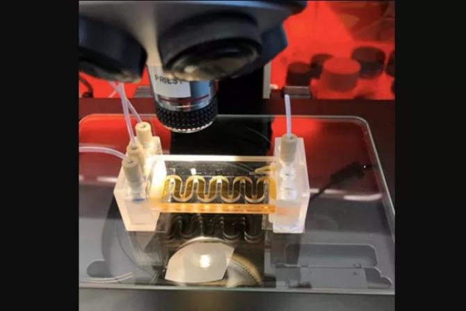 低成本的微流體傳感器用于水質監(jiān)測