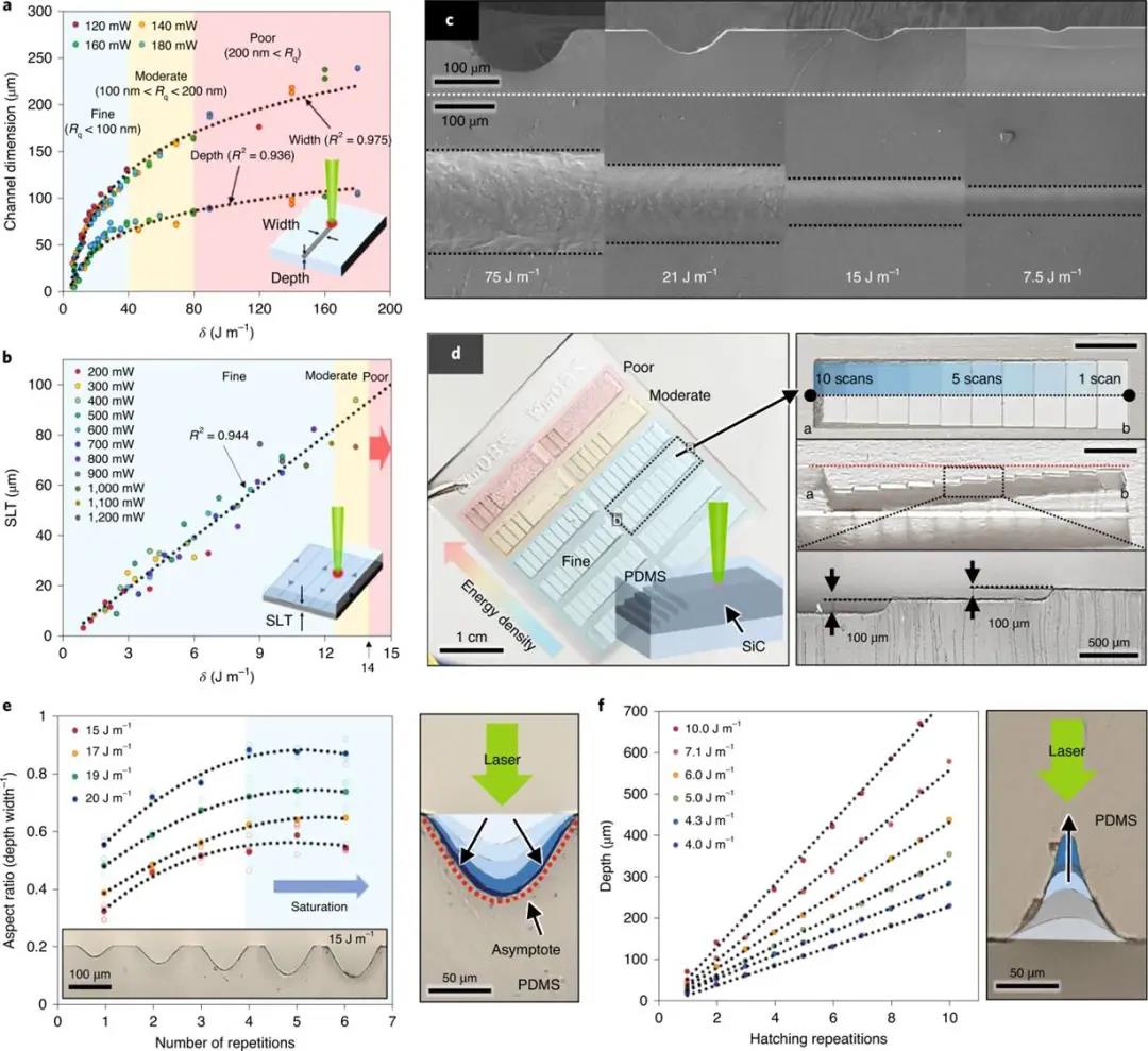 連續激光熱解（SLP）的定量分析