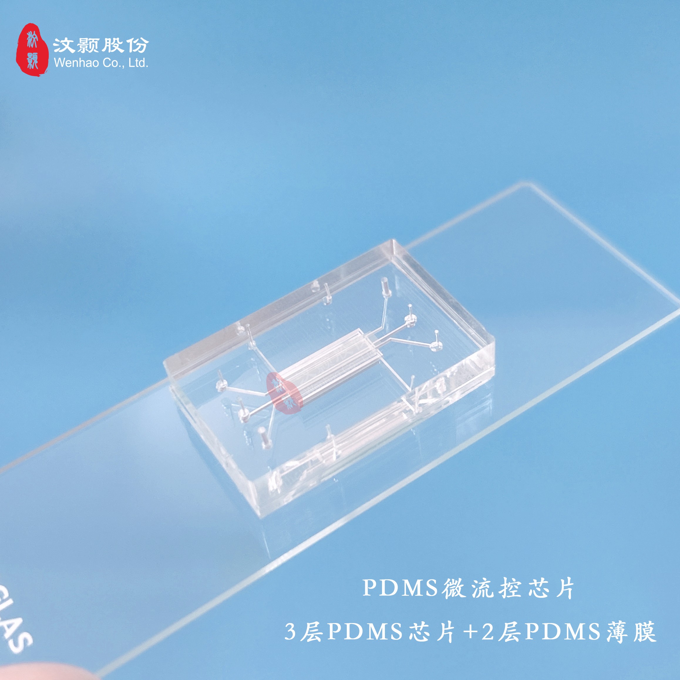 1712026389373598.jpg 1712026389373598.jpg