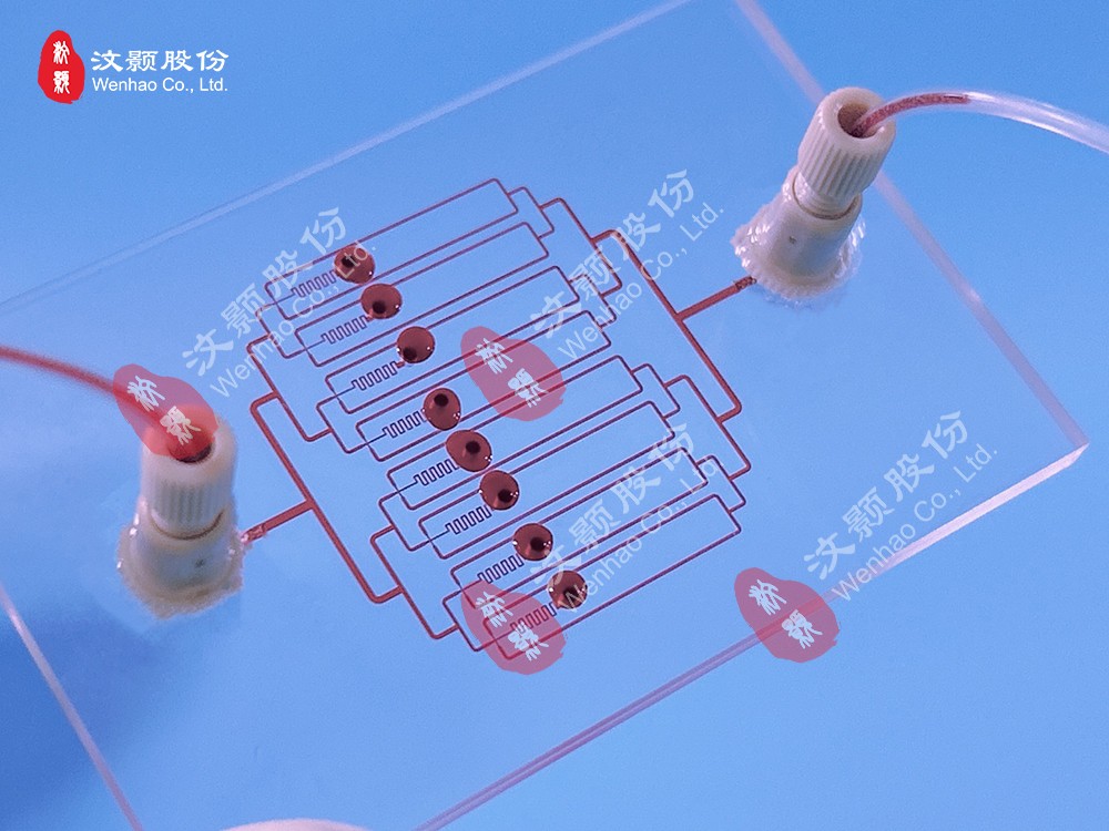 1717464792185076.jpg 1717464792185076.jpg